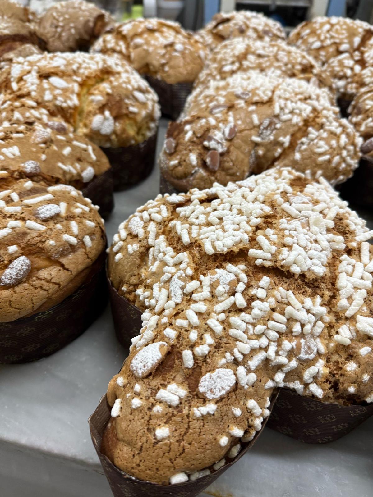 Colomba tradizionale